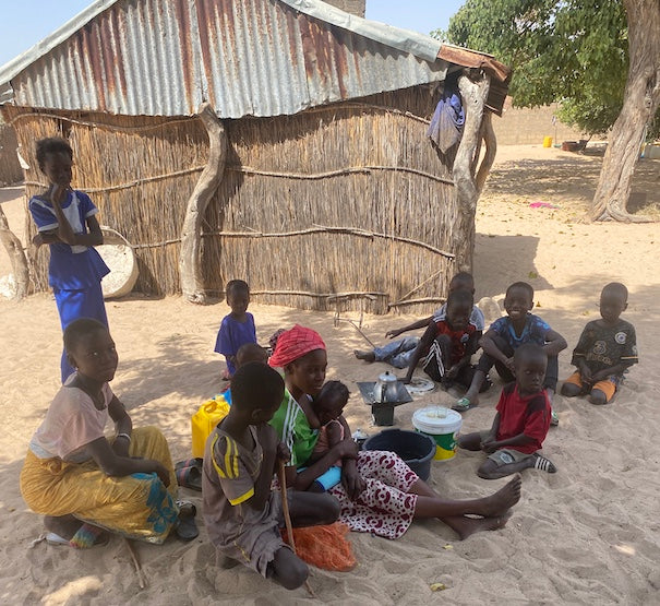 More Snapshots from Senegal