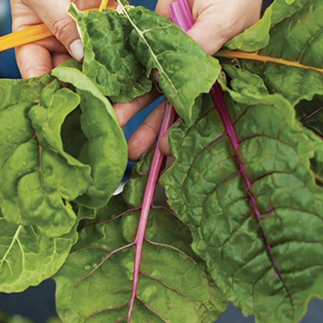 farmdrop-ethical-greens